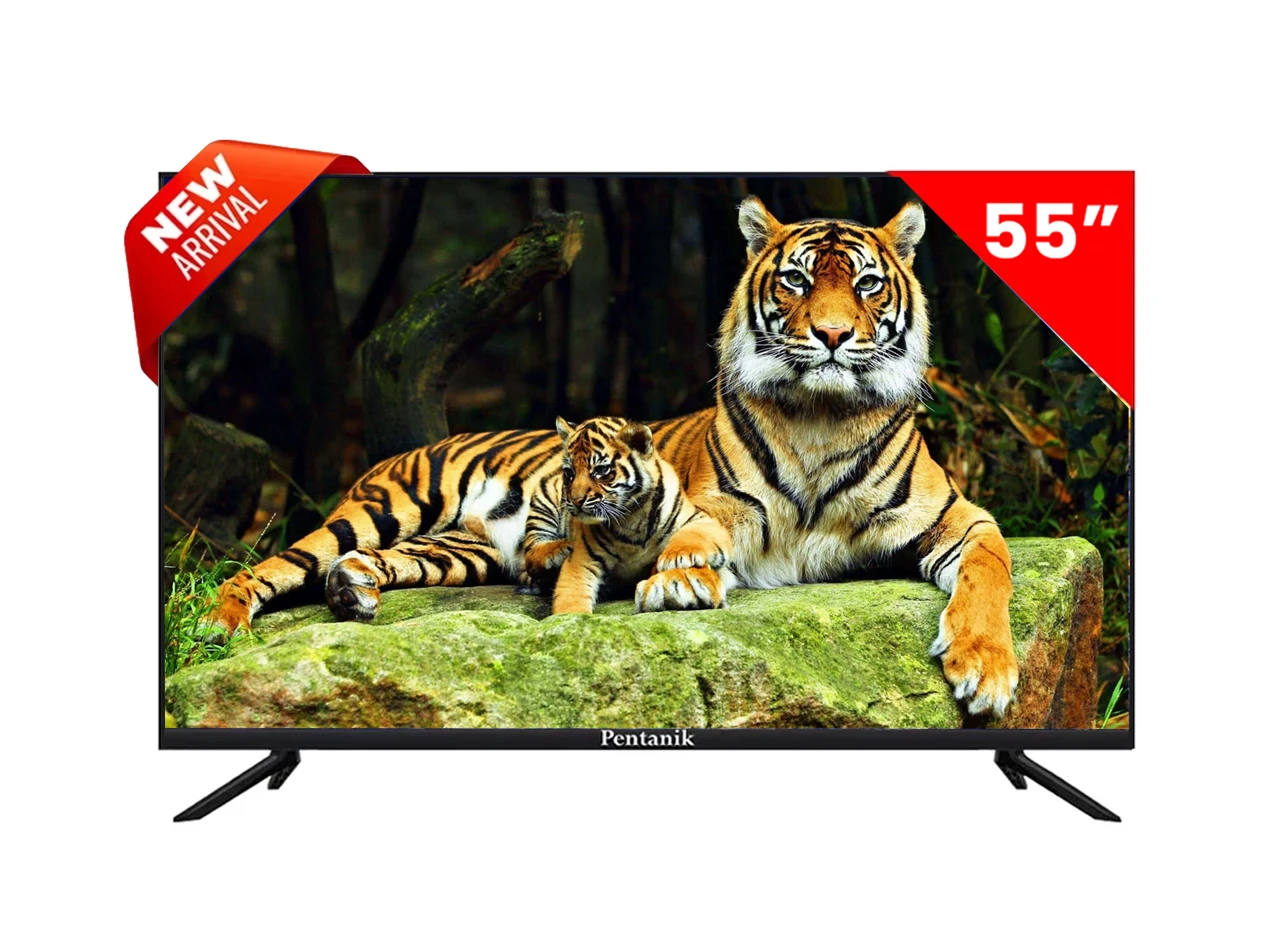 Pentanik 55 Inch 4k VC Android TV,